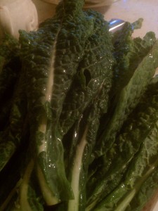 Dyno Kale