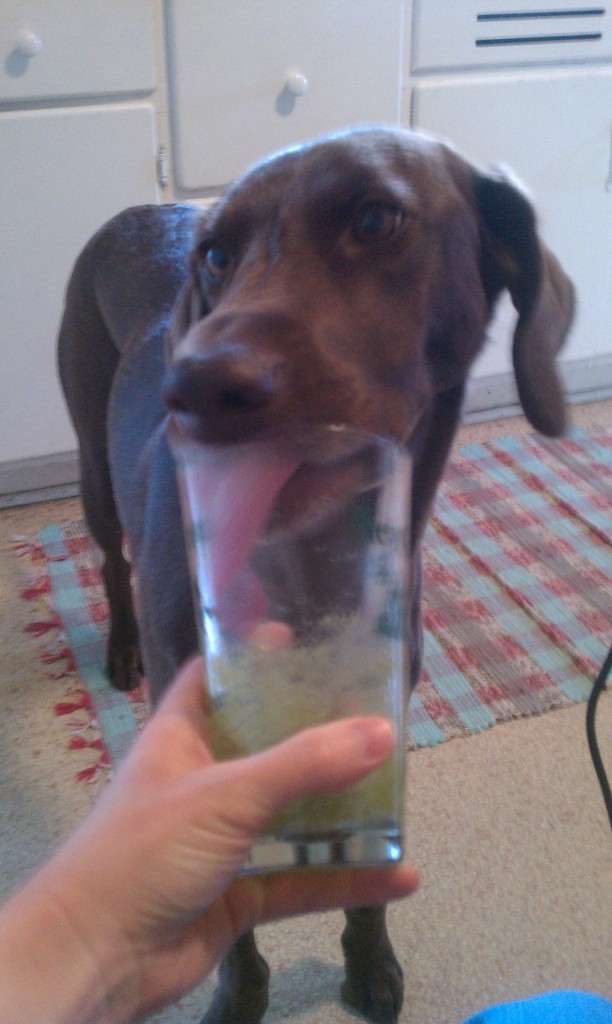 Bella enjoying a green smoothie