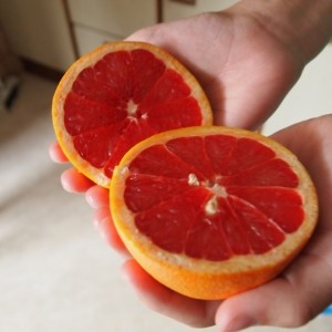 Fresh grapefruit for a smoothie