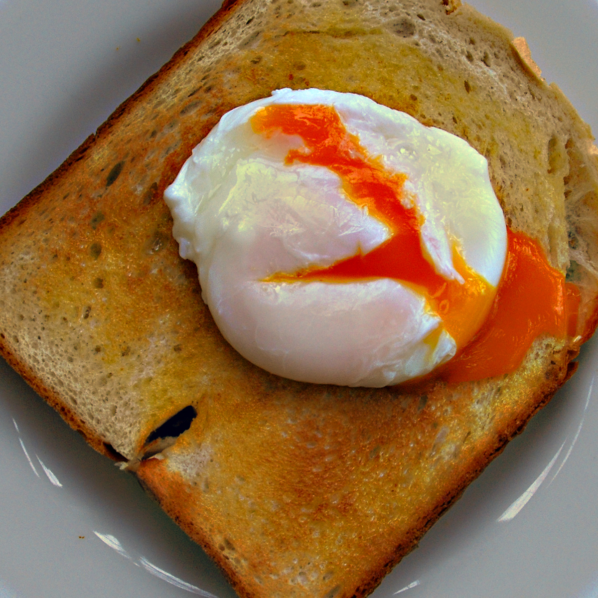 Poached Egg